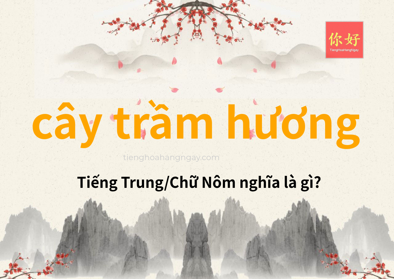 cây trầm hương tiếng Trung là gì?